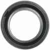 Enduro Bearings ABEC5 61803 SRS Bearing