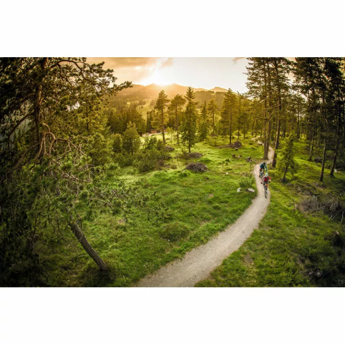 Ergon SMC Women's Saddle - Billede 7